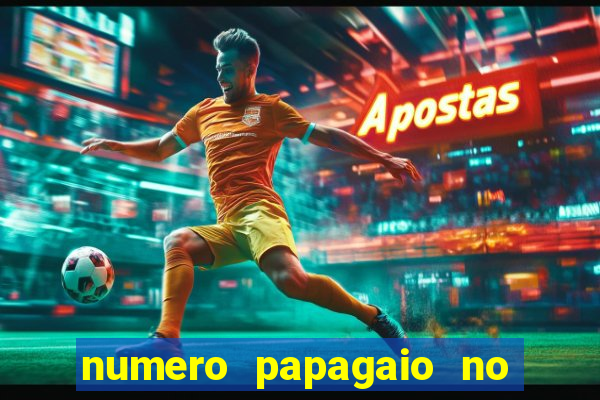 numero papagaio no jogo do bicho